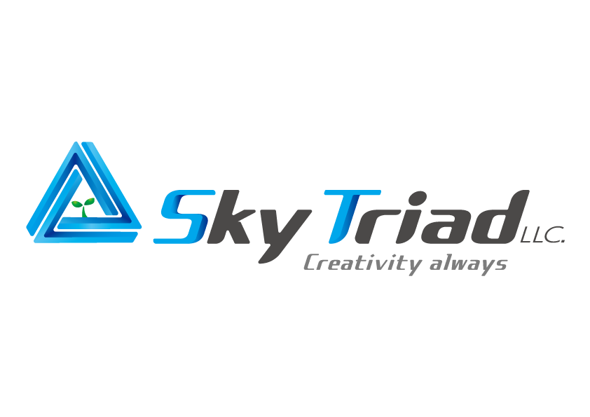 Sky Triad合同会社